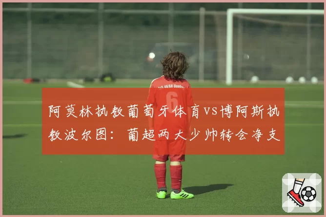 阿莫林执教葡萄牙体育vs博阿斯执教波尔图：葡超两大少帅转会净支出与回报对比